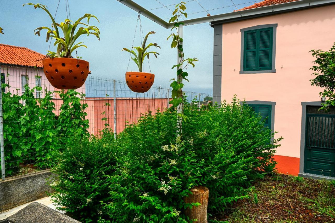 Os Ferreirinhos, A Home In Madeira サン・ジョルジェ エクステリア 写真