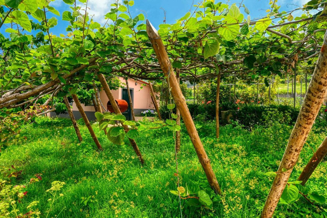 Os Ferreirinhos, A Home In Madeira サン・ジョルジェ エクステリア 写真