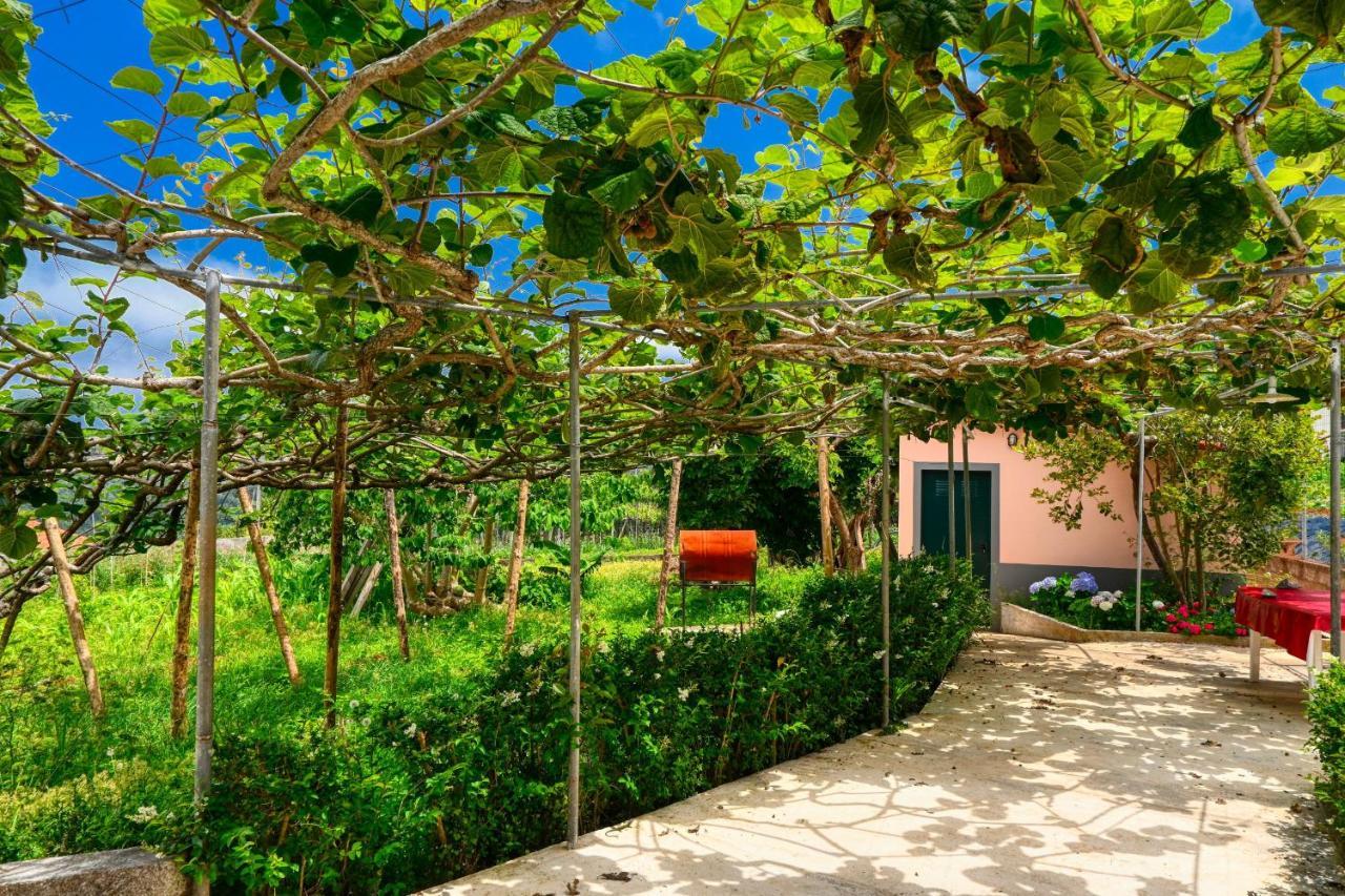 Os Ferreirinhos, A Home In Madeira サン・ジョルジェ エクステリア 写真