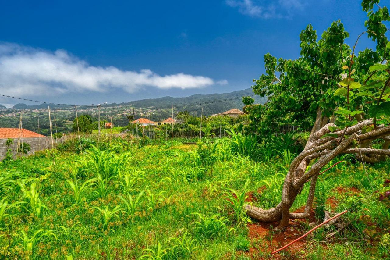 Os Ferreirinhos, A Home In Madeira サン・ジョルジェ エクステリア 写真